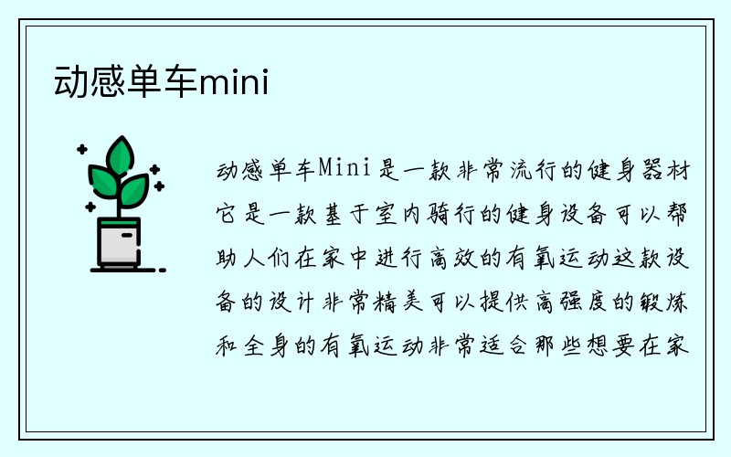 动感单车mini