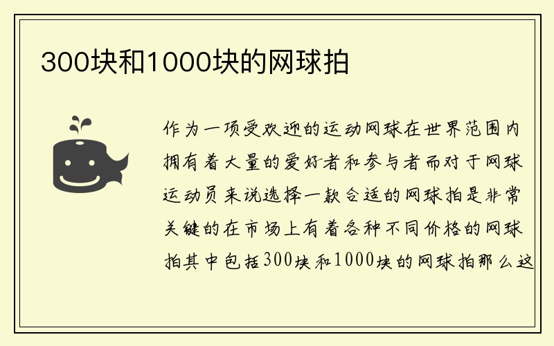 300块和1000块的网球拍