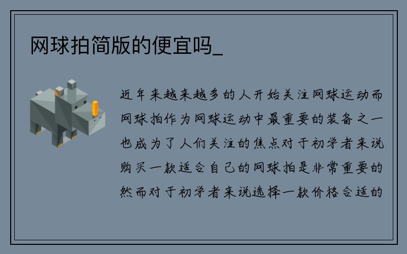 网球拍简版的便宜吗_