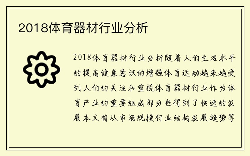 2018体育器材行业分析