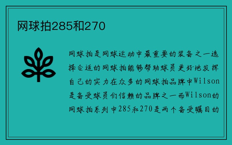 网球拍285和270