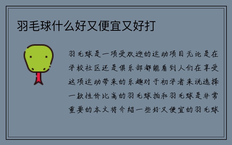 羽毛球什么好又便宜又好打