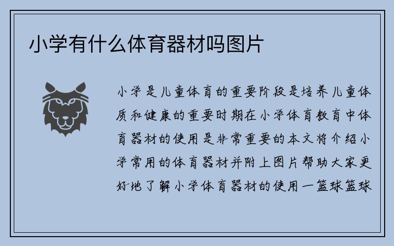 小学有什么体育器材吗图片