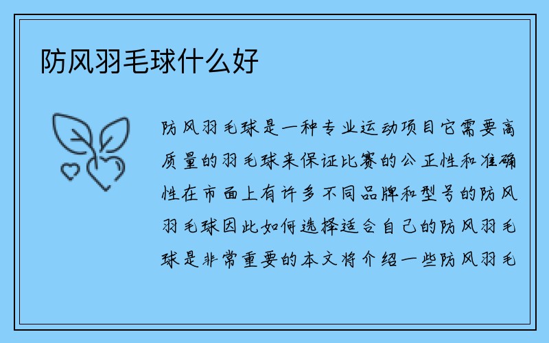 防风羽毛球什么好