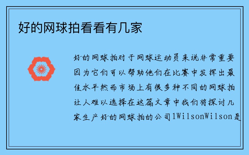 好的网球拍看看有几家