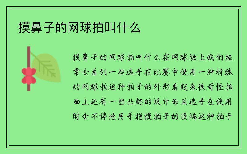 摸鼻子的网球拍叫什么