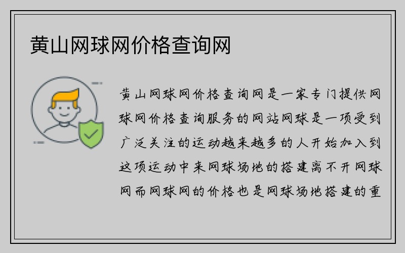 黄山网球网价格查询网